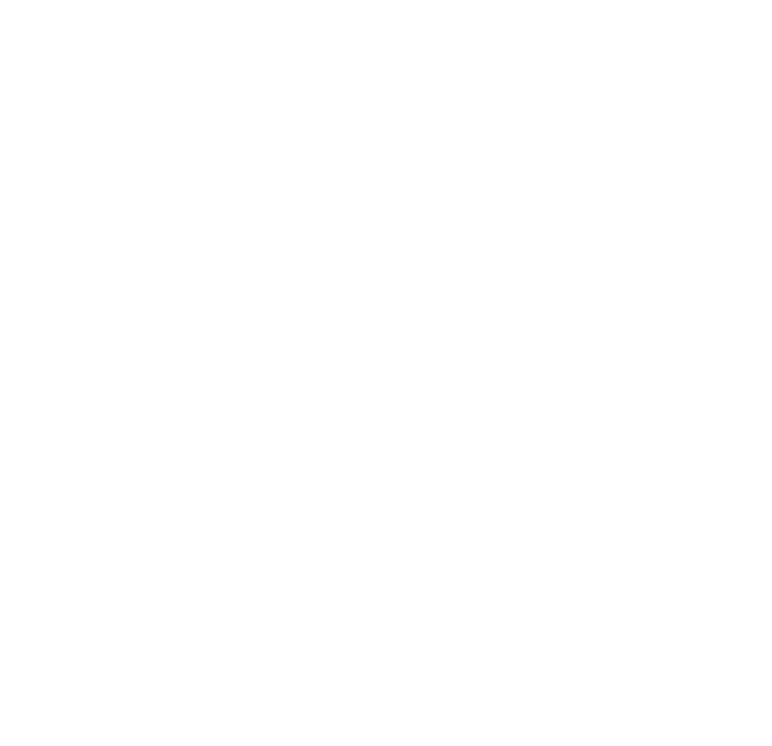 ScholarOut owl logo